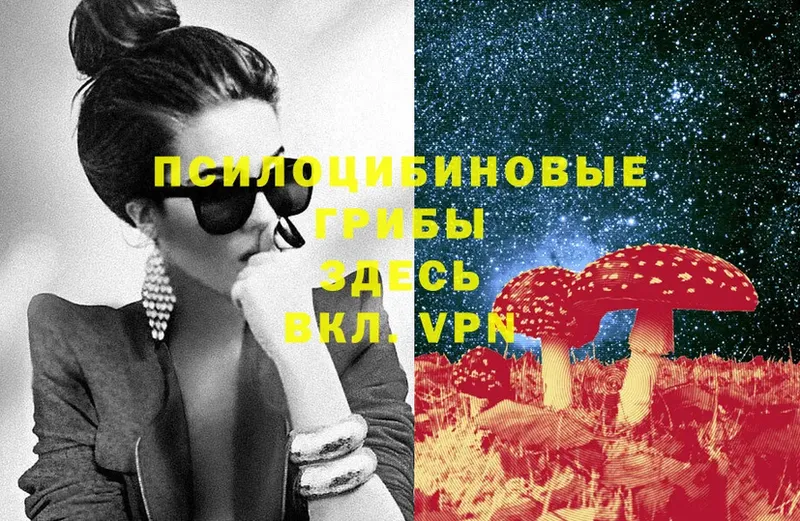 Псилоцибиновые грибы Cubensis  Могоча 